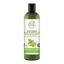 تصویر  پتال فرش - شامپو تقویت کننده موهای خشک        PETAL FRESH - Moisturizing Grape Seed & Olive Hair Shampoo